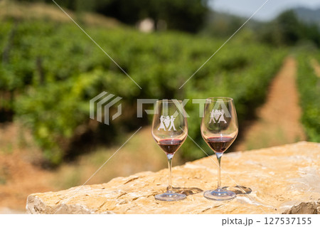 Vineyard with two glasses of wine in lush scenery for tranquil experience Vineyard with two glasses of wine in lush scenery for tranquil experience 127537155