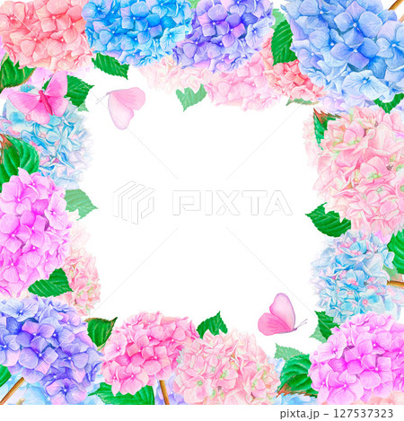 Floral square frame with watercolor drawn blue, pink and purple hydrangea flowers, with leaves and pink butterflies isolated on a white background. Floral square frame with watercolor drawn blue, pink and purple hydrangea flowers, with leaves and pink butterflies isolated on a white background. 127537323