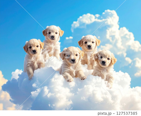 雲の上の子犬たち 127537385