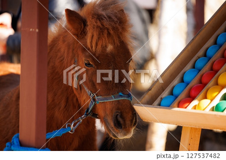Little brown pony explores colorful play area at a sunny outdoor fair 127537482