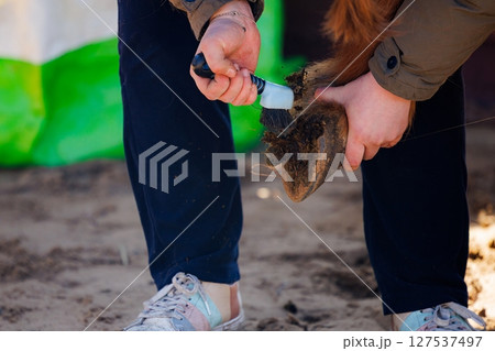 Care and maintenance of a horses hoof in a serene stable environment during a sunny afternoon 127537497