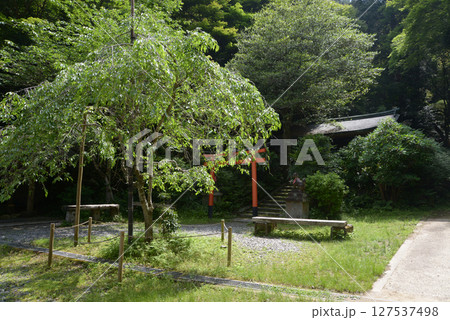 日向大神宮　境内入口の神田稲荷神社　京都市山科区日ノ岡 127537498