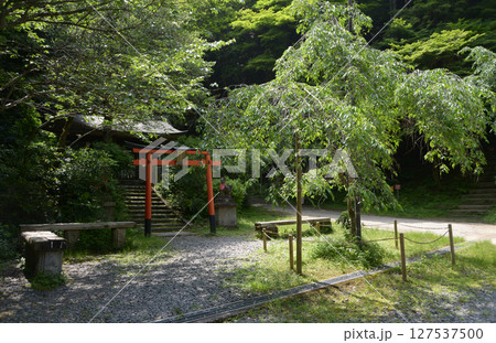 日向大神宮　境内入口の神田稲荷神社　京都市山科区日ノ岡 127537500
