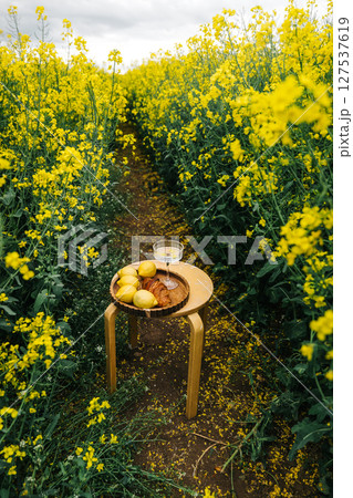 Enjoying a tranquil picnic in a vibrant yellow flower field during a cloudy afternoon 127537619