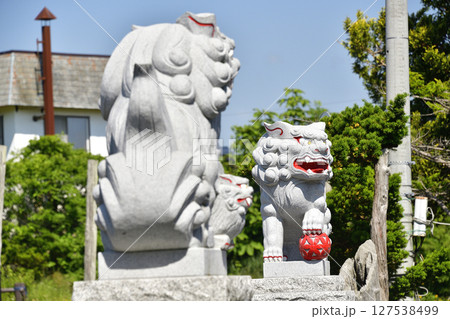 初夏の北海道八雲町で落部八幡宮境内の風景を撮影 初夏の北海道八雲町で落部八幡宮境内の風景を撮影 127538499