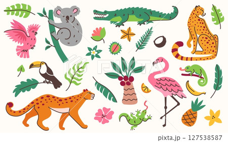 Jungle animals, birds and plants. Tropical nature leaves, flowers and fruits. Exotic reptiles crocodile, chameleon and lizard. Cartoon koala and leopards, flamingo and toucan vector illustration set 127538587