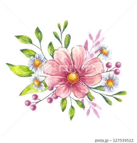 Watercolor blooming flower composition. Pink cosmos, white daisy chamomile, berries, green leaves. Floral botanical drawing. Hand drawn illustration isolated background. Wedding invitation 127539522