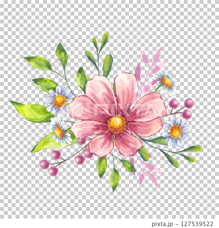 Watercolor blooming flower composition. Pink cosmos, white daisy chamomile, berries, green leaves. Floral botanical drawing. Hand drawn illustration isolated background. Wedding invitation 127539522