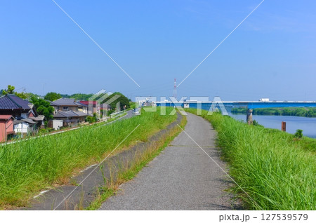 千葉県我孫子市利根川サイクリングロード沿線2025年6月 127539579