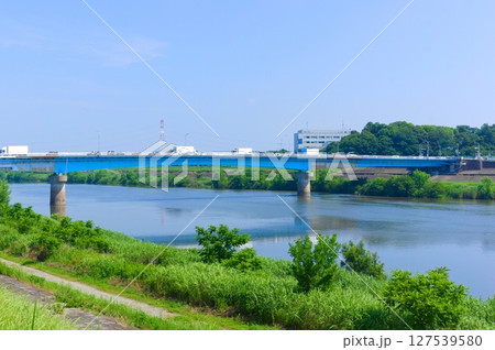 千葉県我孫子市利根川サイクリングロード沿線2025年6月 127539580