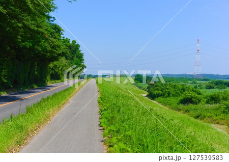 千葉県我孫子市利根川サイクリングロード沿線2025年6月 千葉県我孫子市利根川サイクリングロード沿線2025年6月 127539583