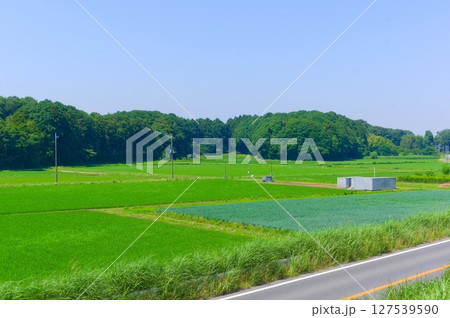 千葉県我孫子市利根川サイクリングロード沿線2025年6月 127539590