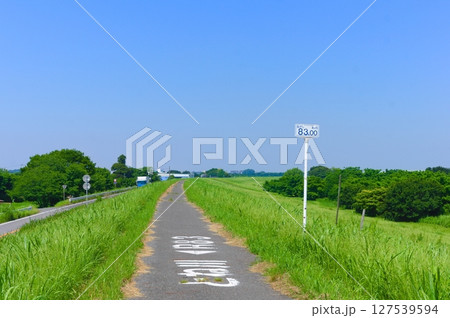 千葉県我孫子市利根川サイクリングロード沿線2025年6月 127539594