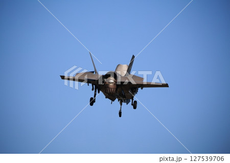 ホバリングするストレス戦闘機 ホバリングするストレス戦闘機 127539706