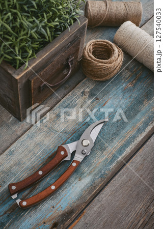 Stylish vintage pruning shear with wooden handles Stylish vintage pruning shear with wooden handles 127540033