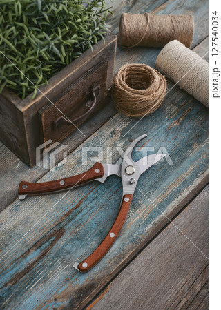Stylish vintage pruning shear with wooden handles 127540034