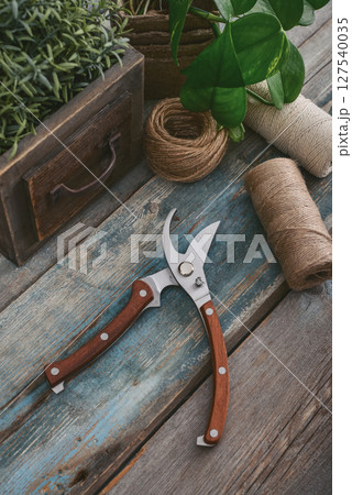 Stylish vintage pruning shear with wooden handles 127540035