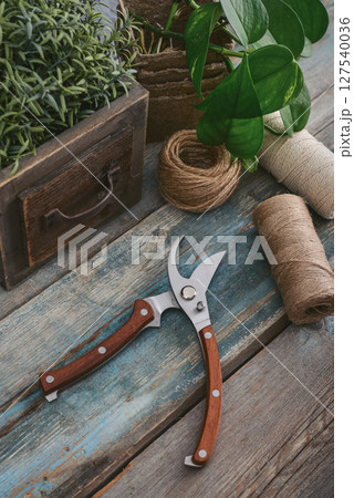 Stylish vintage pruning shear with wooden handles 127540036