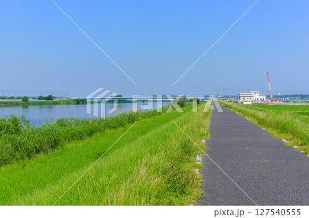 千葉県我孫子市手賀川沿い2025年6月 千葉県我孫子市手賀川沿い2025年6月 127540555