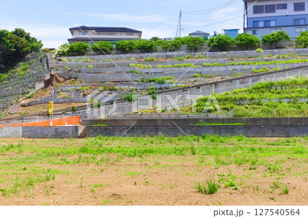 千葉県松戸市新松戸駅周辺2025年6月 千葉県松戸市新松戸駅周辺2025年6月 127540564