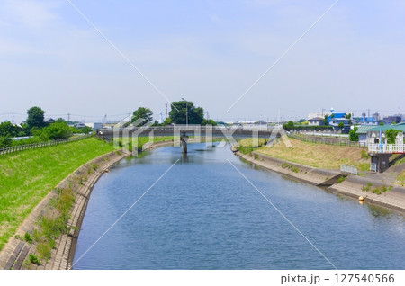 千葉県松戸市坂川2025年6月 千葉県松戸市坂川2025年6月 127540566