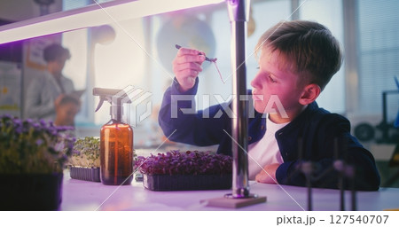 Talented Young Boy Conducting Biology Experiment on Microgreen Plants, Using Tweezer 127540707
