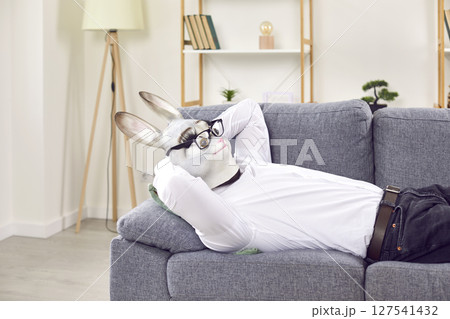 Funny man wearing in a rabbit animal mask lying on couch at home or in office resting. 127541432