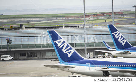 ANA 尾翼2機と羽田空港 第三ターミナル ANA 尾翼2機と羽田空港 第三ターミナル 127541752