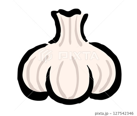 シンプルなニンニクの手描きイラスト シンプルなニンニクの手描きイラスト 127542346
