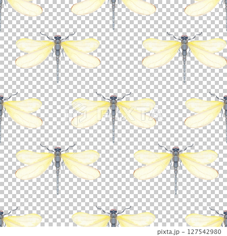 Yellow dragonfly, translucent wings, painted watercolor seamless pattern isolated on white. Ideal for nature branding, packaging, eco-friendly design, stationery, wall art, wedding, baby shower themes Yellow dragonfly, translucent wings, painted watercolor seamless pattern isolated on white. Ideal for nature branding, packaging, eco-friendly design, stationery, wall art, wedding, baby shower themes 127542980