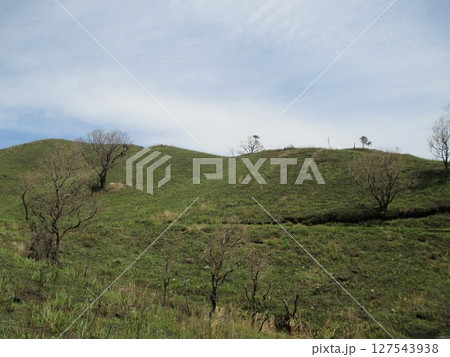 熊本県南阿蘇村、春の草原の風景 127543938