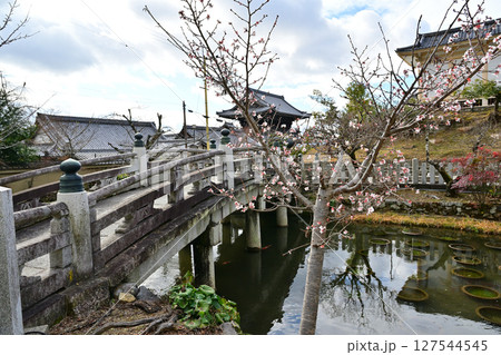 金戒光明寺 金戒光明寺 127544545