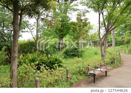 千鳥いこい公園(東京都大田区久が原) 千鳥いこい公園(東京都大田区久が原) 127544626