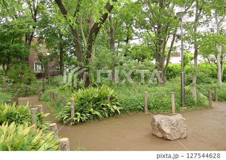 千鳥いこい公園(東京都大田区久が原) 千鳥いこい公園(東京都大田区久が原) 127544628