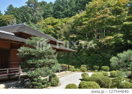 曼殊院 大書院から見る小書院と亀島庭園(京都市左京区) 曼殊院 大書院から見る小書院と亀島庭園(京都市左京区) 127544640