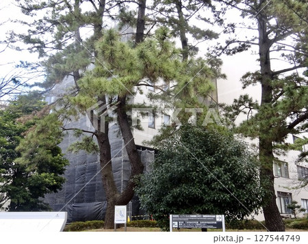 千葉大学 西千葉キャンパス 千葉大学 西千葉キャンパス 127544749