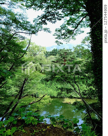 緑の池を見下ろす林 緑の池を見下ろす林 127544909