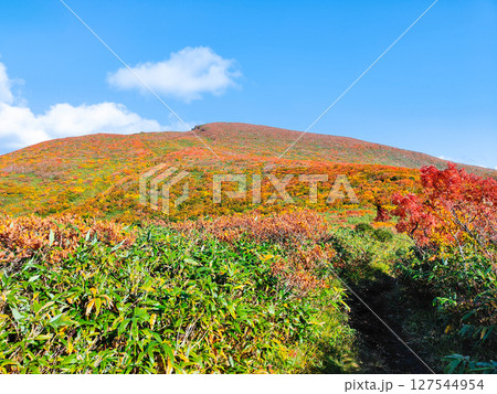 秋の栗駒山登山（栗駒山～秣岳：栗駒山方面の眺め） 127544954