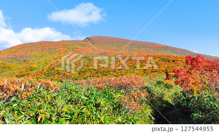 秋の栗駒山登山（栗駒山～秣岳：栗駒山方面の眺め） 127544955