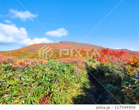 秋の栗駒山登山(栗駒山~秣岳:栗駒山方面の眺め) 秋の栗駒山登山(栗駒山~秣岳:栗駒山方面の眺め) 127544956