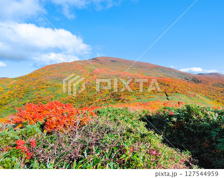 秋の栗駒山登山（栗駒山～秣岳：栗駒山方面の眺め） 127544959