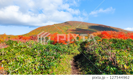秋の栗駒山登山（栗駒山～秣岳：栗駒山方面の眺め） 127544962