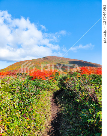 秋の栗駒山登山（栗駒山～秣岳：栗駒山方面の眺め） 127544963