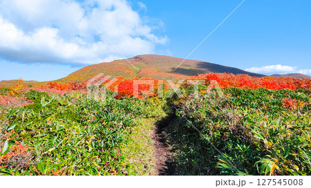 秋の栗駒山登山(栗駒山~秣岳:栗駒山方面の眺め) 秋の栗駒山登山(栗駒山~秣岳:栗駒山方面の眺め) 127545008