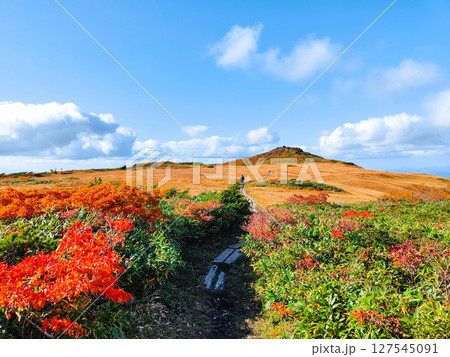 秋の栗駒山登山（栗駒山～秣岳：しろがね湿原） 127545091