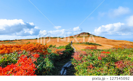 秋の栗駒山登山(栗駒山~秣岳:しろがね湿原) 秋の栗駒山登山(栗駒山~秣岳:しろがね湿原) 127545092