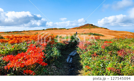 秋の栗駒山登山(栗駒山~秣岳:しろがね湿原) 秋の栗駒山登山(栗駒山~秣岳:しろがね湿原) 127545094