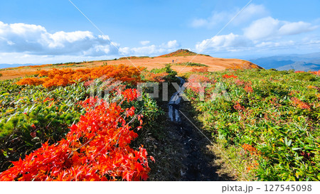 秋の栗駒山登山（栗駒山～秣岳：しろがね湿原） 127545098