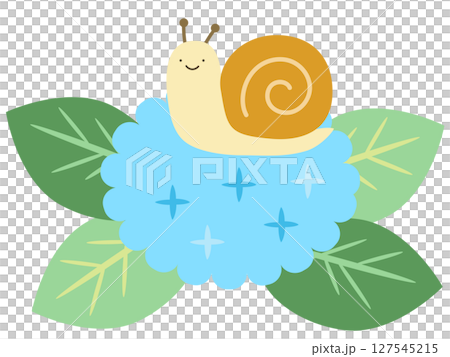 紫陽花とかたつむり　梅雨　ベクターイラスト 127545215