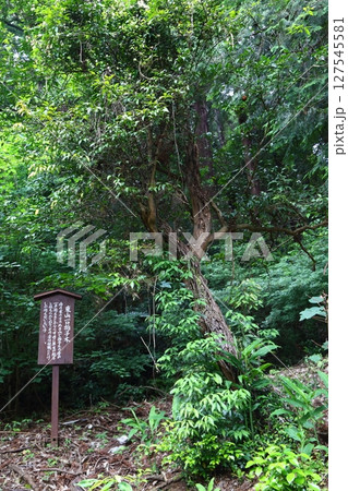 大中寺の七不思議　東山一口拍子木 127545581